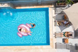 安塔利亚Antalya City Hotel & Spa的游泳池内两人和一只狗的顶部景色