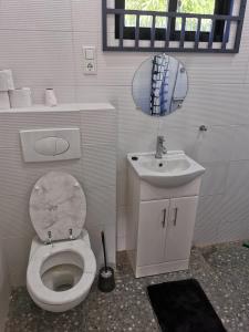 帕拉马里博Tropical appartement的一间带卫生间、水槽和镜子的浴室
