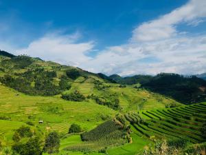 Lao San Chay度古民宿的享有绿树成荫的山坡美景