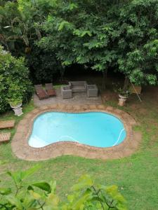 绍斯布鲁姆Laughing Gecko Lodge2的庭院内的游泳池,带椅子和树木