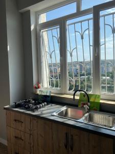 第比利斯Apartments on Bakradze的带水槽的厨房和美景窗户