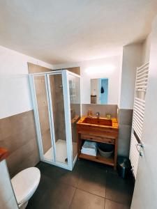 卡尔多纳佐AGRITURISMO DAL PEROTIN的一间带水槽和玻璃淋浴的浴室