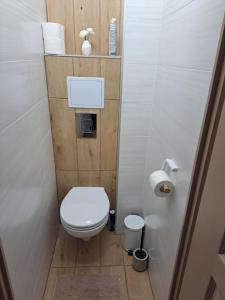 希欧福克Lily Apartman Siófok的一间带卫生间和卫生纸饮水机的小浴室