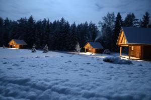 MägedeTõrvaaugu Holiday Homes的两座小木屋位于一个树木茂密的雪地