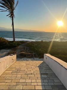锡蒂亚Sunset Dionysos vilagge resort的一条砖砌的走道,通往大海,并种植了棕榈树