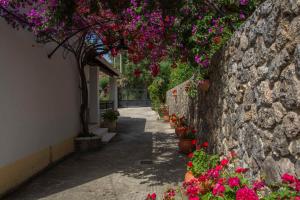 帕莱欧卡斯提撒Emmy villa paleokastritsa的一条有鲜花和石墙的小径