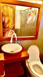 米萨华丽港Rio Napo Lodge的一间带水槽和卫生间的浴室