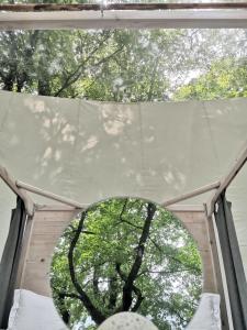 诺茨瓦约Nomád Glamping的帐篷内一扇窗户,享有一棵树的景致