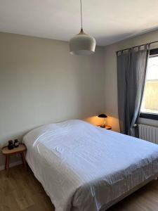 佩里尼Appartement Les Camélias proche La Rochelle的卧室配有白色的床和窗户。