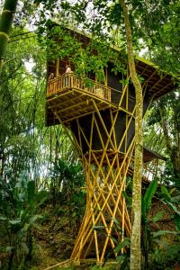 布加Eco Hotel Hacienda El Diamante的森林中间的树屋