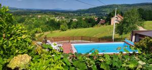 塞里特雷尼科Vila Lisina的山丘上带游泳池的别墅
