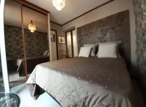 波尔多Bordeaux Chartrons superbe T2 avec terrasse的一间卧室配有一张大床和镜子