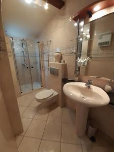 波尔多Bordeaux Chartrons superbe T2 avec terrasse的一间带水槽、卫生间和淋浴的浴室