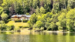 阿尔陶塞Villa Frischmuth am See的湖畔小山上的房屋