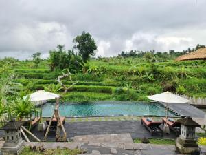 TirtaganggaAlamGangga Villas Tirta Gangga的相册照片