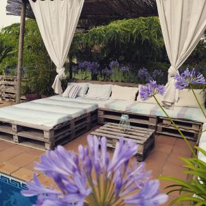 图伊El Atico de Villalmar的庭院设有两张床和紫色的鲜花