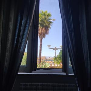 贝内文托Appartamento La Rampa的有一个开窗口,背景是棕榈树