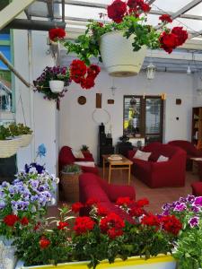 赫拉布斯Villa Vraji的客厅里摆放着许多红色的长沙发和鲜花