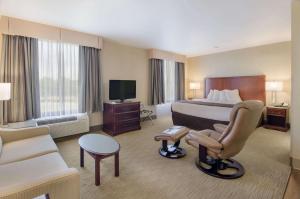罗阿诺主住宿套房机场酒店的配有一张床和一把椅子的酒店客房