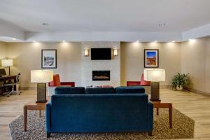 罗阿诺罗阿诺克机场凯富酒店的带沙发和壁炉的客厅