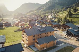 施科佩尔瑙DER*ADLER Apartments的享有山脉小村庄的空中景致