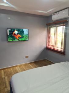 阿布贾Wine House, Maitama, Abuja的卧室配有一张床,墙上配有电视。