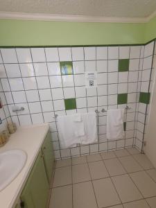 Cap EstateBurns' Apartment的白色瓷砖浴室设有水槽和毛巾