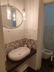 布拉索夫Vintage Downtown Hostel的一间带水槽、镜子和卫生间的浴室