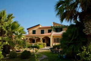 布泰拉Hostel Vela Vega的一座大黄色房子,在院子里种有棕榈树