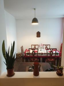 布拉索夫Vintage Downtown Hostel的一间带桌椅和植物的用餐室