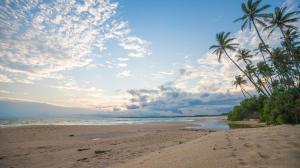 坦加拉Shine Wave Turtle Beach的棕榈树和海洋的沙滩