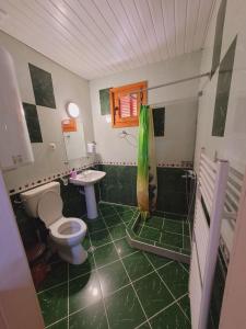 西格伏沙尔克Вила Боби的绿色浴室设有卫生间和水槽