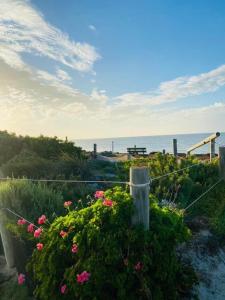 CowellOn the beach-Lucky Bay的从种满鲜花的花园欣赏到海景
