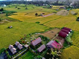 BanjarangkanKubu Bakas Guest House - CHSE Certified的田野房屋的空中景观