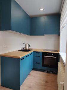 派尔努Jannseni apartment的厨房配有蓝色橱柜和水槽