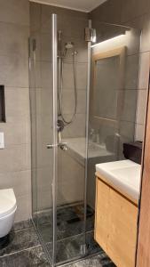 琪纳尔Polaris appartement 2的带淋浴、卫生间和盥洗盆的浴室