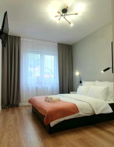 伊拉华Apartament nad Iławką的一间卧室配有一张大床和吊扇