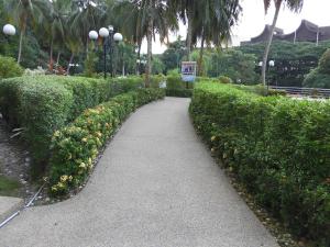 峇都丁宜峇都丁宜海景公寓的灌木和鲜花公园的走道