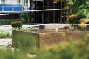 因斯布鲁克LOOMZ living Self-check-in的鸟儿坐在公园喷泉顶上