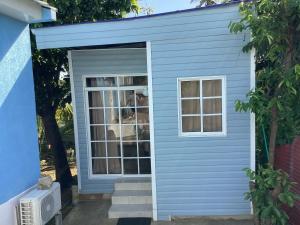 圣安德烈斯Honey Hill View的蓝色的棚子,有窗户,里面有一只狗
