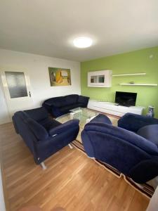 DrvarApartman “IVA”的客厅配有2张蓝色沙发和电视