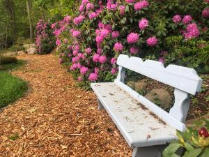 法尔茅斯Frederick William House的白色长凳,坐在粉红色的鲜花前