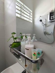 Kampong MelotRUMAH AINA Homestay Bukit Changgang Private Pool的浴室设有1个带洗浴用品和镜子的架子