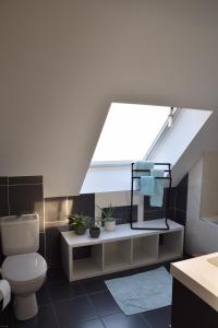 ChampguyonChambres d’Hôtes Les Rougemonts的浴室配有卫生间、水槽和天窗。