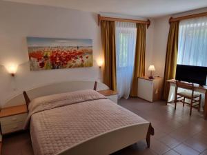 奥米沙利Villa Riva的一间卧室配有一张床、一张书桌和一台电视