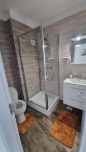 萨图恩Apartament Alina Sunrise的带淋浴、卫生间和盥洗盆的浴室