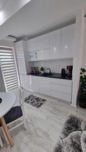 Apartament Alina Sunrise的厨房或小厨房