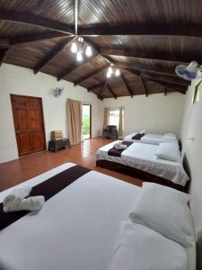 比加瓜Hotel Catarata Río Celeste的一间带三张床的卧室和木制天花板