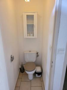马罗尼河畔圣洛朗Hudace maison partagée的一间带卫生间和橱柜的小浴室