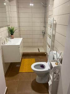 康斯坦察Bella Apartament的浴室配有白色卫生间和盥洗盆。